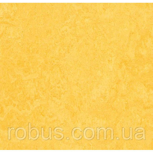 Натуральний лінолеум Marmoleum Fresco 3251 (2,5 мм)