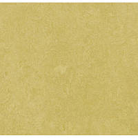 Натуральний лінолеум Marmoleum Fresco 3259 (2,5 мм)