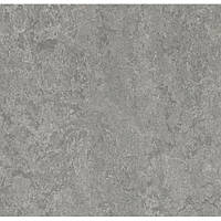 Натуральний лінолеум Marmoleum Real 2621 (2,5 мм)