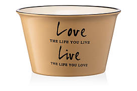 Бульйонниця Ardesto Way of life AR-3479-OL 550 мл оливкова 4518722