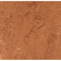 Натуральний лінолеум Marmoleum Real 2767 (2,5 мм)