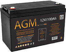 Акумулятор AGM TECHTRU 12V 100Ah VRLA для ІБП та інверторів, термін служби більше 10 років