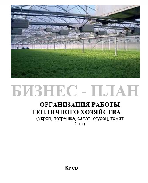 Бізнес - план (ТЕО). Тепличне господарство. Вирощування овочів. Томат, огірок, зелень (цибуля, кріп, петрушка)