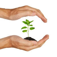 Засоби захисту рослин