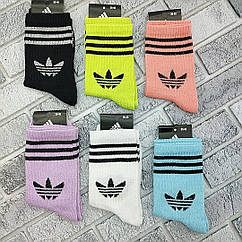 Шкарпетки жіночі спортивні високі весна/осінь р.36-40 яскраве асорті А ТУРЦІЯ 30038967