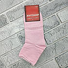 Шкарпетки жіночі медичні без гумки середні весна/осінь р.35-41 яскраве асорті ЖИТОМИР 30038959, фото 3