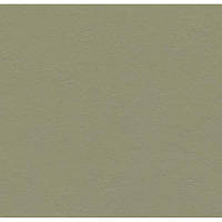 Натуральний лінолеум Marmoleum Walton 3355 (2,5 мм)