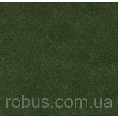 Натуральний лінолеум Marmoleum Walton 3359 (2,5 мм)