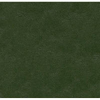 Натуральний лінолеум Marmoleum Walton 3359 (2,5 мм)