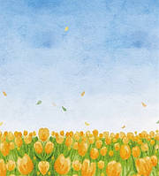 Фотоальбом "UFO" NoPP-46200 10х15х200 Field(24)