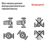 Циркуляційний насос Omnigena Omis 25-80/180 (Польща), фото 3
