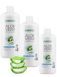 LR Набір питних гелів Aloe Vera Freedom (3 шт), лр питний гель алое вера фрідом, фото 3