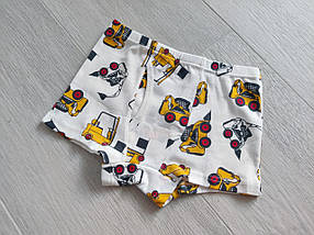 Комплект трусів боксери на хлопчика 3-7 років 3 штуки арт. ТМ13, фото 5