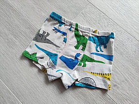 Трусики боксери для хлопчика 4-10 років набором з 3 шт. арт. ТМ06, фото 4