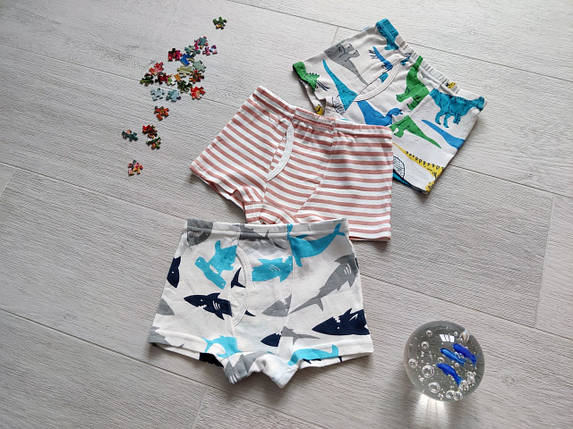 Трусики боксери для хлопчика 4-10 років набором з 3 шт. арт. ТМ06, фото 1