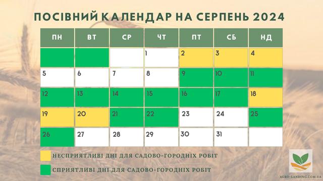 Посівний календар серпень 2024