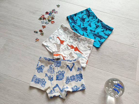 Набір трусів боксери на хлопчика (3 штуки) 4-10 років, арт. ТМ05, фото 1