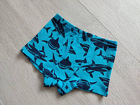 Набір трусів боксери на хлопчика (3 штуки) 4-10 років, арт. ТМ05, фото 4