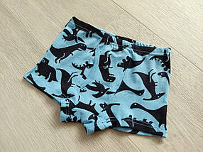 Набір трусиків боксери для хлопчиків 6-10 років арт. ТМ02 (3 штуки), фото 5