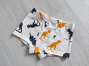 Набір трусиків боксери для хлопчиків 6-10 років арт. ТМ02 (3 штуки), фото 4