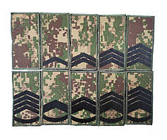 Погон НГУ сержант ХИЖАК