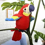 Інтерактивна іграшка електронна, що говорить Папуга Parrot Talking Червоний SV227, фото 4