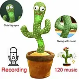 Кантус, що танцює, світло-ігрова іграшка на батарейках, Dancing Cactus TikTok кактус у вазоні 34 см SV227, фото 6