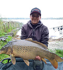Методний пелетс,  метод мікс Krill (Кріль) Carp Dream 3 в 1, фото 4