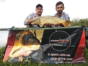 Методний пелетс, флет метод мікс Plum (Сливовий) Carp Dream 3 в 1, фото 5