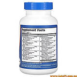 Комплекс грибів Кордіцепс Шиитаке Левова Грива Трутовик Чага Мейтаке Енокі Глива Рейші Агарікус Mushroom Complex, фото 2