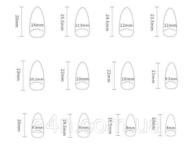 Размеры накладных ногтей