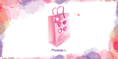 Розмір L (31*42*12 см)