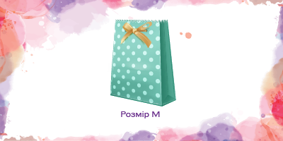 Розмір M (25*32*11 см)