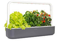 Гроубокс Click and Grow стартовий сірий 60,5 см (8899 SG9)