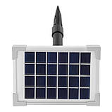 Сонячний насос для ставка 2 Вт Geko G81471, фото 4