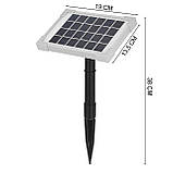 Сонячний насос для ставка 2 Вт Geko G81471, фото 7