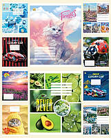 Зошит 24арк. лін. /ТВ/ "Мікс3" №ТЕ42303(20)(320)