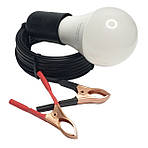 6 Ват, 4000 К, Крокодили, Чорний колір