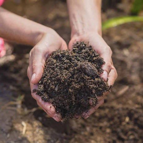 Субстрати, грунти, торф