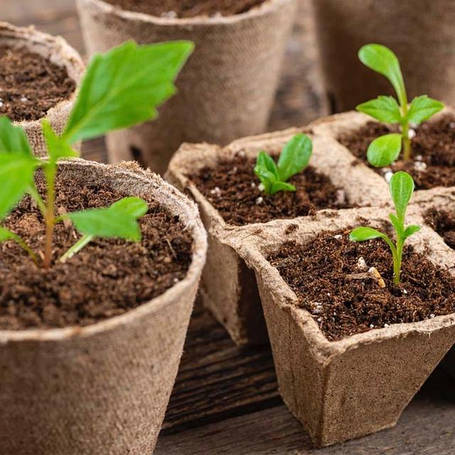 Для вирощування розсади