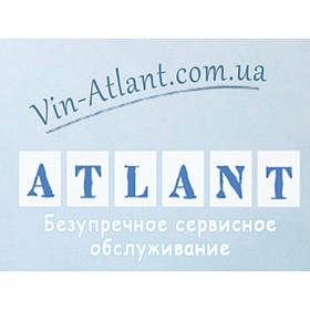 Ребро (активатор) C00065463 барабана для пральної машини Ariston (Indesit)