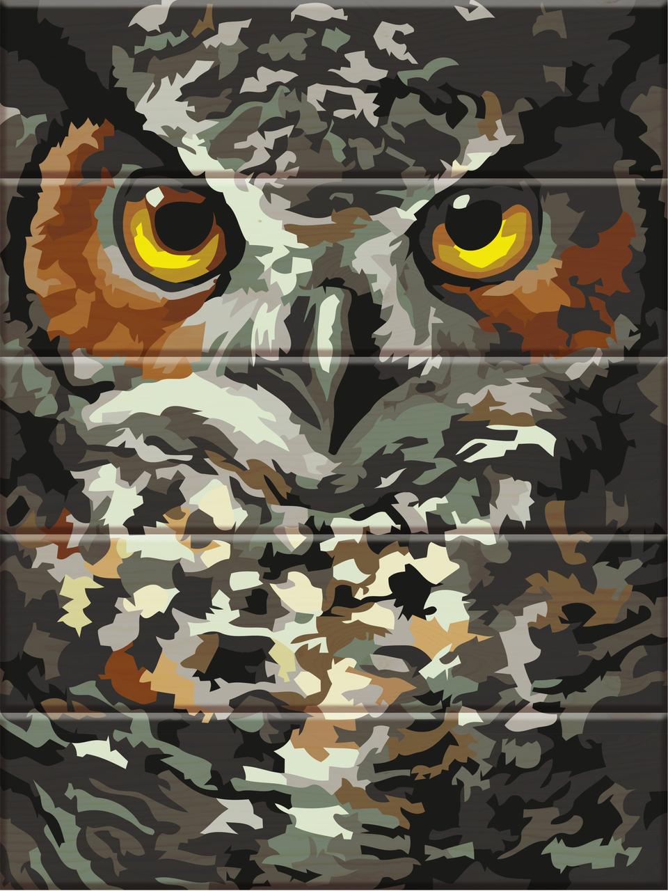 ASW015 Розмальовка за номерами на деревяній основі Філін, В картонній коробці