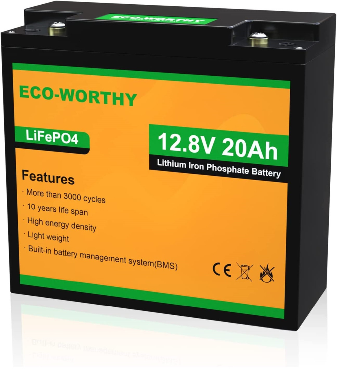 Акумулятор Eco Worthy LiFePO4 12V 20Ah (256Wh) із вбудованим BMS
