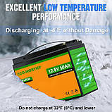 Акумуляторна батарея Eco Worthy LiFePO4 12 V 50 Ah (640Втг) з вбудованим BMS, фото 3