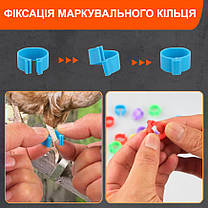 Маркувальні кільця для птахів, 1.6 см, 100 шт., фото 3