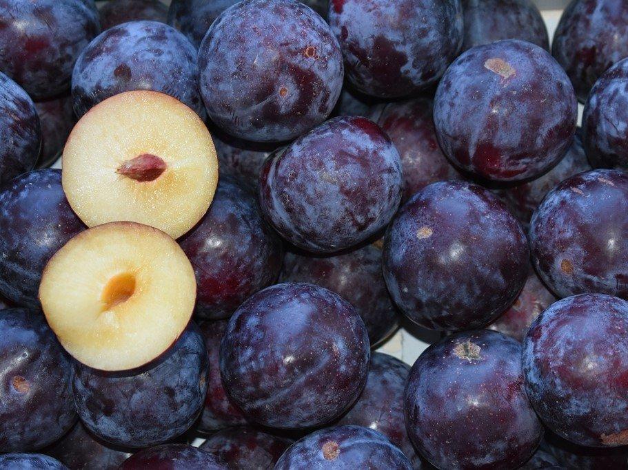 Саджанці сливи Блек Старр (3-річні), фото 1