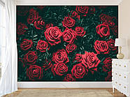 Самоклеюча плівка Oracal з малюнком "Червоні троянди", стильні фотошпалери для дому, фото 2