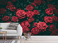 Самоклеюча плівка Oracal з малюнком "Червоні троянди", стильні фотошпалери для дому, фото 3