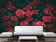 Самоклеюча плівка Oracal з малюнком "Червоні троянди", стильні фотошпалери для дому, фото 4