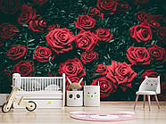 Самоклеюча плівка Oracal з малюнком "Червоні троянди", стильні фотошпалери для дому, фото 10